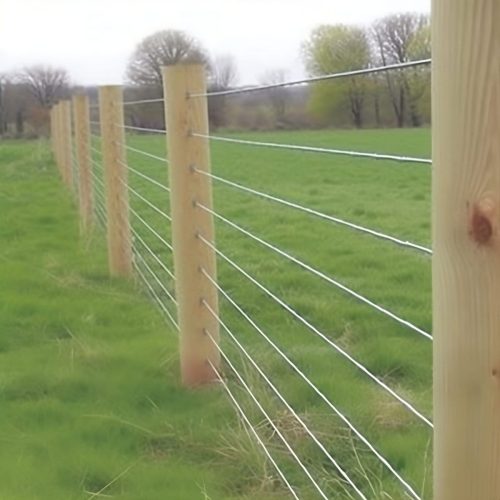 Rochester Cable Wire Fence