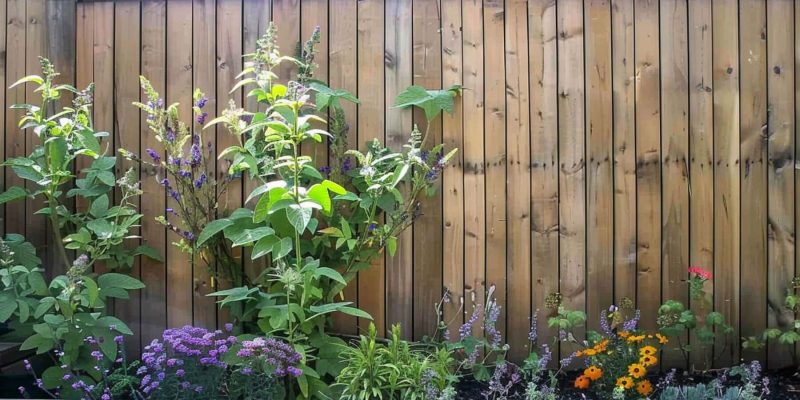 A wooden garden fence with a wooden planter bed in front